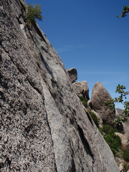 Black Death - 5.8
