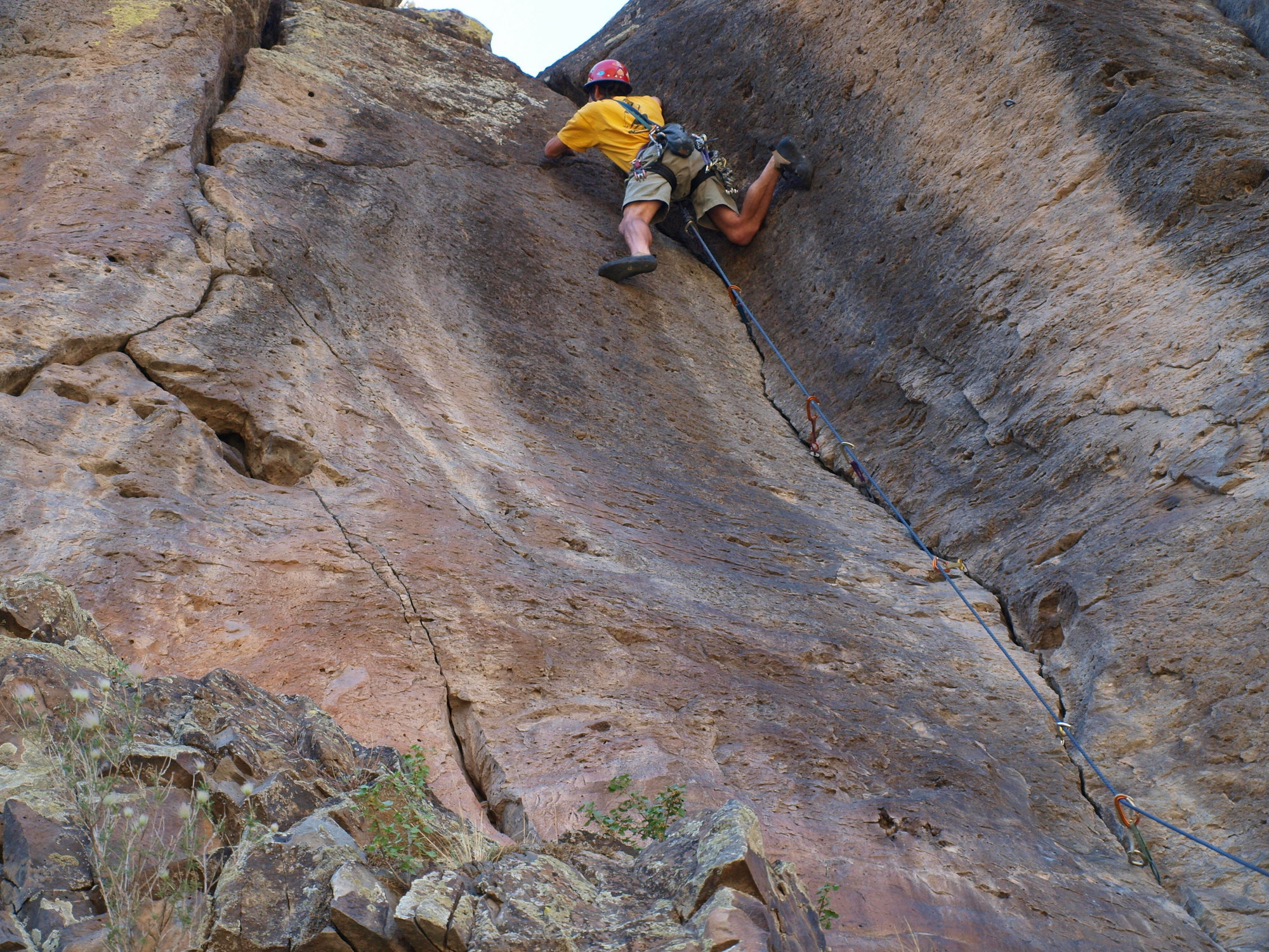Tigger ran onto a bat in the crack on this send of Crisis in Utopia. It