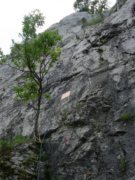Zsuzsa at Bajót. Route follows the rope, except this is with an extended finish on the route called Sensor. The actual line simply ends with the scramble slightly to the right.