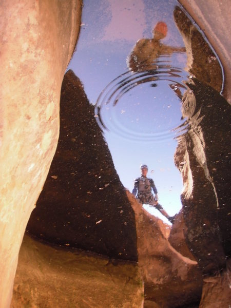 Reflections in the pool to let you know your looking at water.