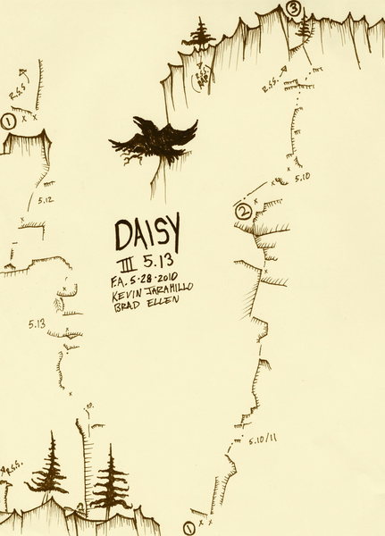 Daisy Topo