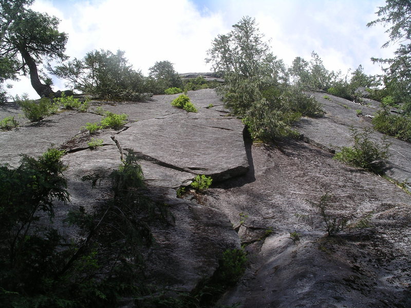 The start of Big Tree One (zig zag crack left of the flake)