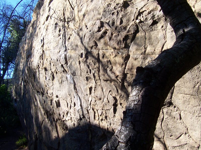 The Ant Traverse, V4-5. Back side of Ant Boulder...Jason's Favorite is the chalked crack splitting the center of the boulder. Traverse starts at the base of the crack and moves left along good positive edges with cruxy feet.
