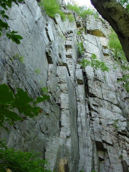 This photo shows the entire route (without the optional bushwhack 5.9 crack at the top). The guy in the orange shirt (me) is at the final cold shut anchors about 58 meters from the ground. My climber (look hard, she blends in) is past the crux on the normal pitch 1 and approaching the ramp where some people stop to belay. No need to do this. You can do it in one pitch.