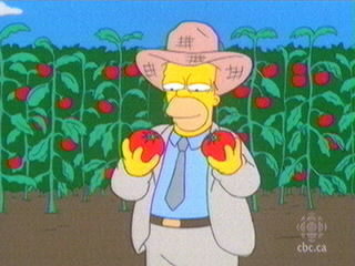 Mmmmm Tomacco