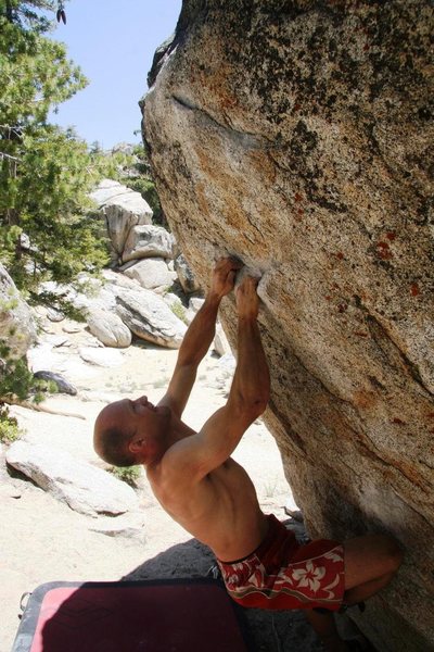 Dyno or Crimp? - that is the question.