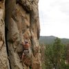 At the 2nd bolt on One Armed Bandit (5.10a), Holcomb Valley Pinnacles