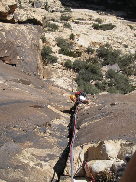 Following Pitch 1<br>
