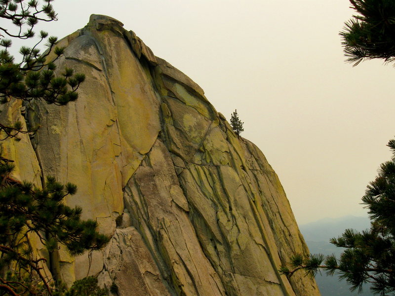 The last pitch, defused by forest fire smoke.