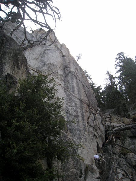 Arctic Temple. Angle is a bit weird, the crag is pretty dead vertical.