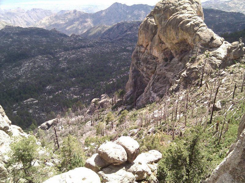 The Fortress, as seen from the top of a route at Murray Wall. Wilderness of Rocks in shadow; front range beyond that.