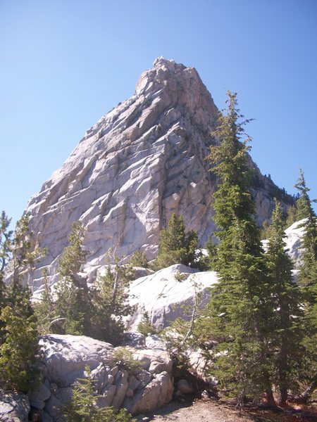 The route follows the left of the tree in the foreground and then along the ridge to the summit.