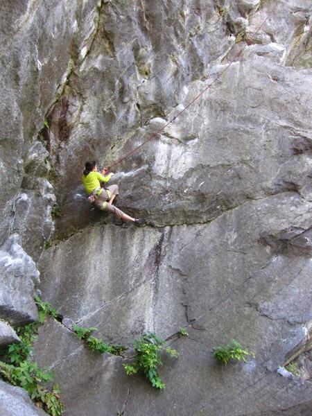 J. Dias climbs through the crux on 'Peer Pressure' 5.10d at the Bonsai wall.