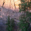 The route starts on the flakes, visible on the face between the trees, then traverses left on the ledge, then goes up the corner (the left and longer of the two visible in this photo) to the top.