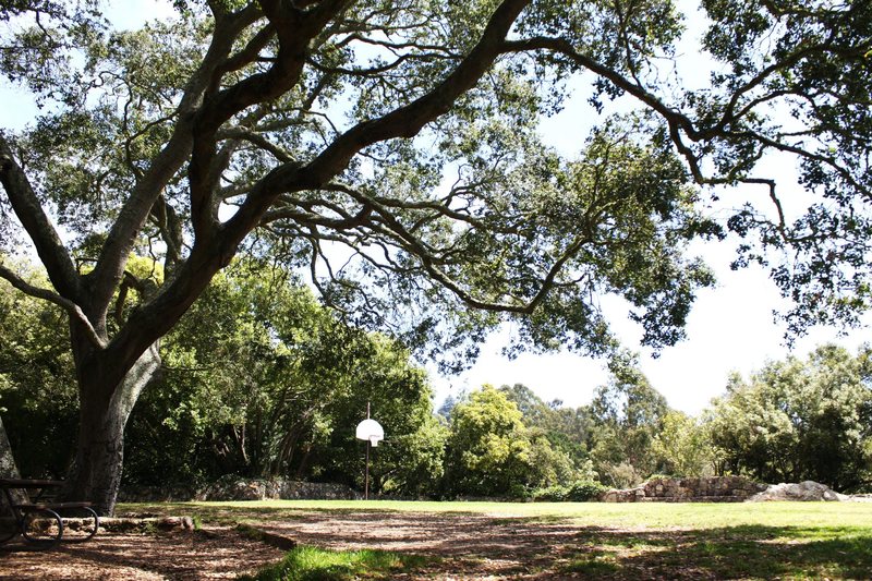 Cragmont Park. Over the wall, right of the court, is the access to the top of the rock.