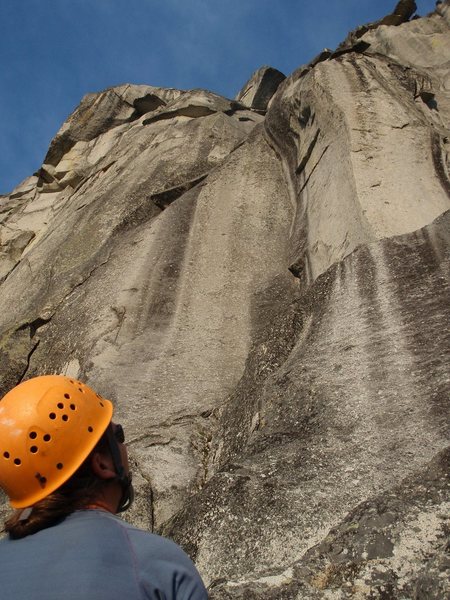 Looking up at the awesome "Scoop" pitch
