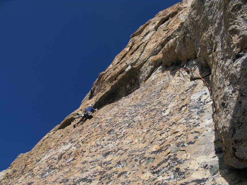 Gams on pitch 2.