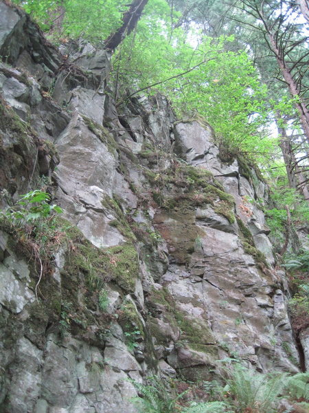 Start to the left of the ramp start and climb strait up before joining the ramp on the left side of the buttress that forms the right side of the arena. Higher up, traverse left towards the fallen log with a #1 Camalot for protection.