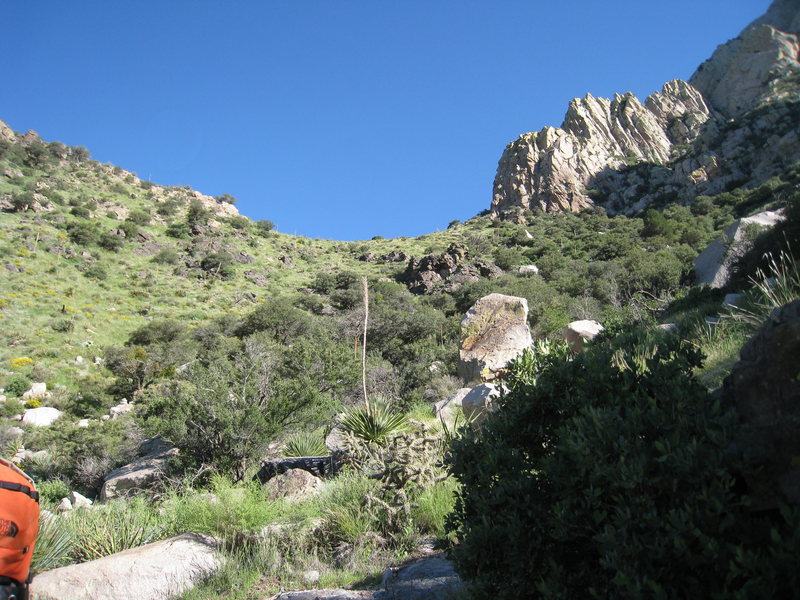 Ingraham's guide describes two saddles in his approach description. This is the first one: "a clearcut saddle beneath the gendarmes at the end of the W Ridge". The gendarmes clearly visible. The place to cross the brushy gully to the grassy slope leading to the saddle was well marked with cairns, but we found no trail after the crossing.