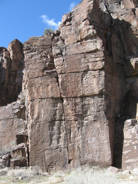The crack in the center of the face.