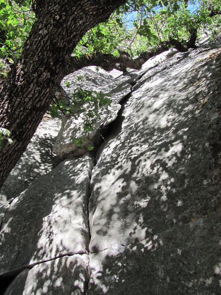 Looking up most of the route.