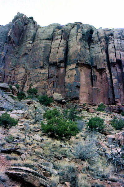 Fringe of Life wall. Stupid Crack is the obvious wide crack to V slot in the middle. The climb Fringe of Life is further right towards Cactus Flower. Robert Warren did a couple of routes as well in these parts. The descent for all these climbs is the same.