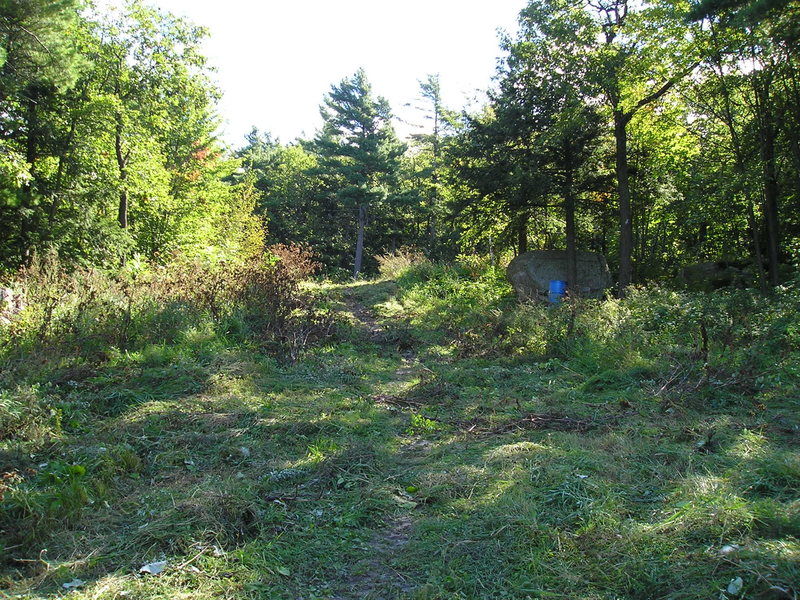 Trail to cliff face is 75 meters to the left of here. If in doubt you can follow the ski run uphill untill the cliff becomes visible on your left, and then cut in on numerous small trails. Blue garbage has been removed in early fall,