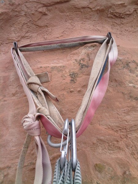 I'll replace the webbing on this anchor the next time I climb it.