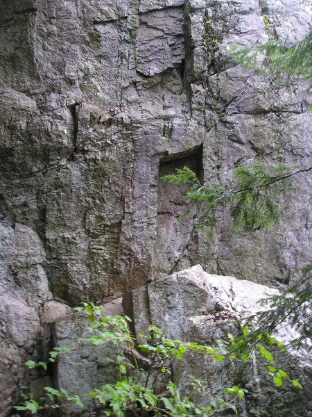 Another view inside gully