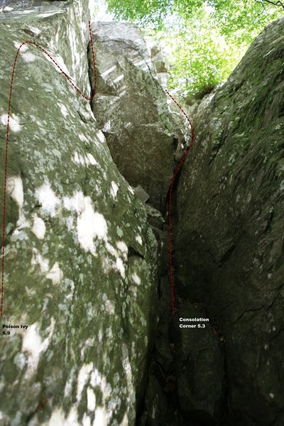 Consolation Corner and Poison Ivy Topo