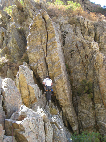 Definitely not 60 feet!