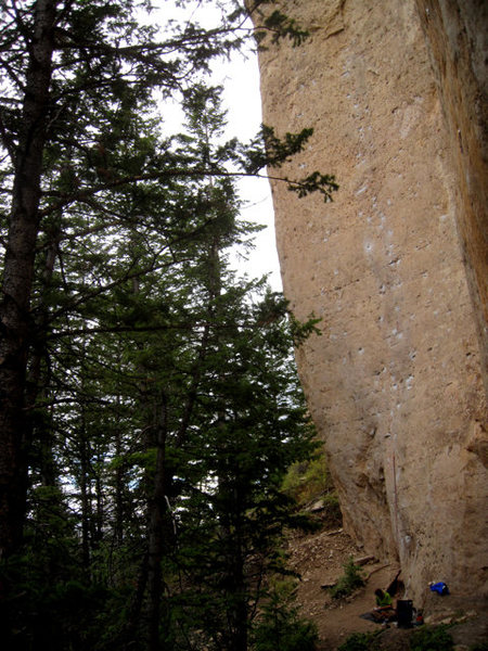 THE GREAT WHITE BEHEMOTH .. great stone