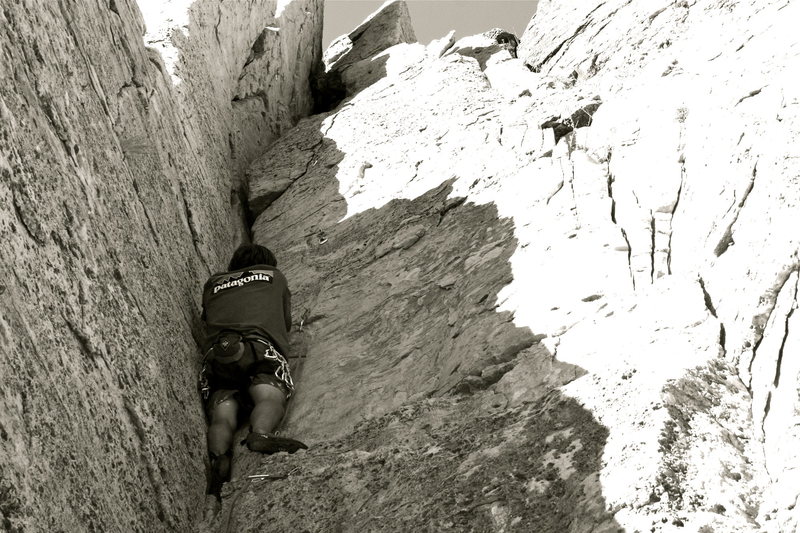 Climbing Crynoid and loving it.
