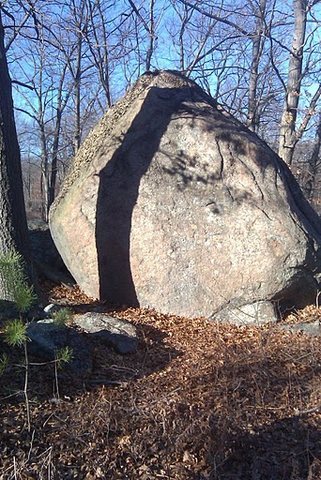 Easier Side of the Elephant Boulder,<br>
W14 on the Lynn Woods Bouldering Map.