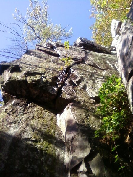 A view of the whole crack.