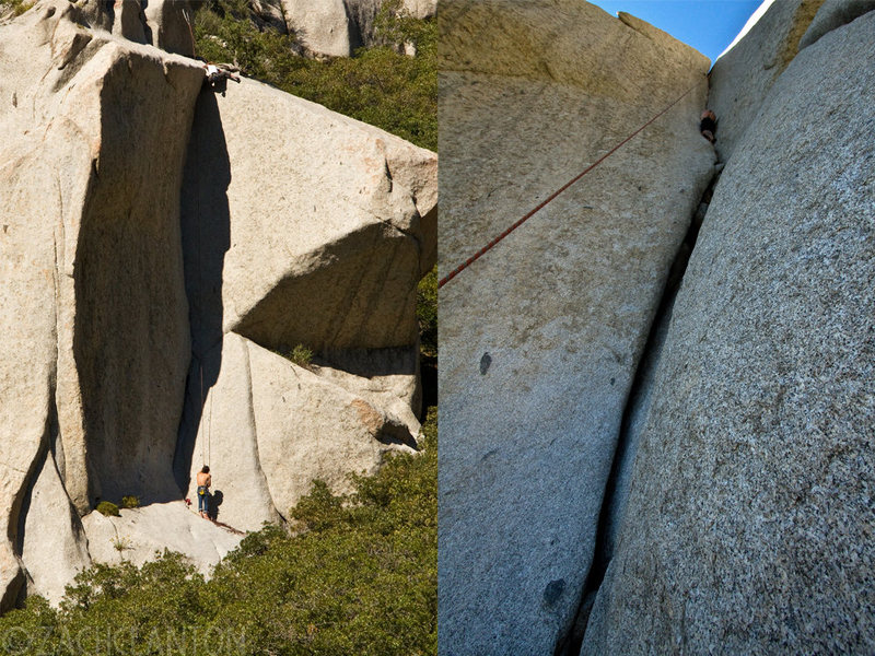 Ally Coconis (left) and Danimal (right). Photo by Zach Clanton