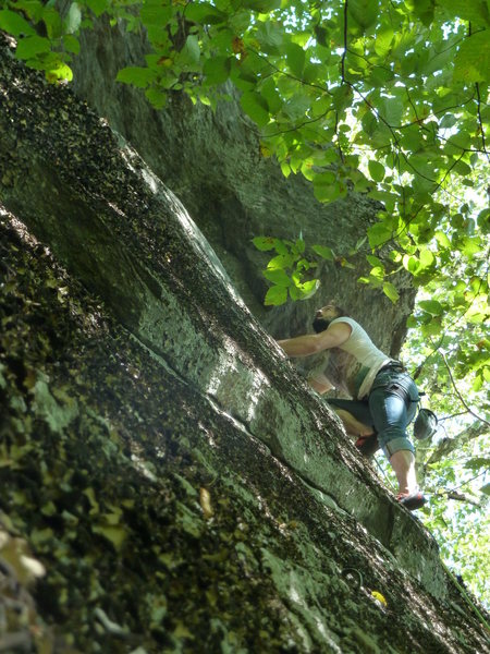 James looking up to clip the last bolt above the overhangin before mantling out