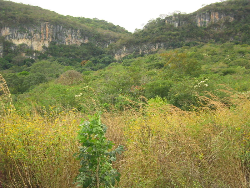 View of three of the main walls from the trail leading up to the base of the climbs. From left to right: La Terraza, La Ceiba, and El Jardin de la Profeta.