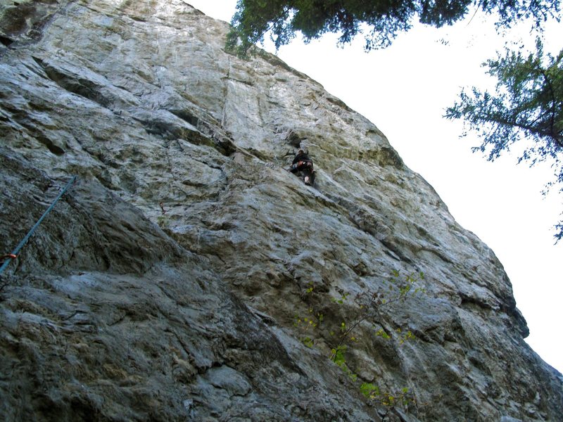 Near the top of Slaborigine