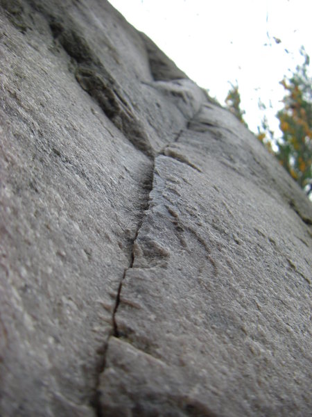 Close-up of the start crimp, for those who use it.