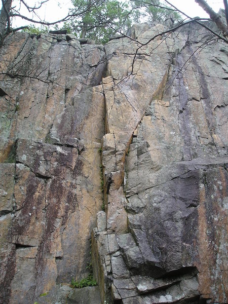 Bolts visible on chocolate coloured streak on left base area. Big "orangish V" in center of pic is, "This Bob's For You".