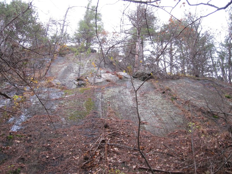 The big slab. Kindling goes up directly left of the pine tree in the middle of this slab.