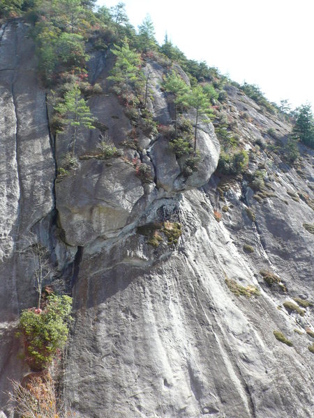 Generally, the upper part of P1 and the plank. Good lines all over this section of the face ranging from 5.7 to 5.hard.