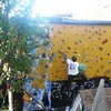 Fall bouldering outdoors on my woodie wall.