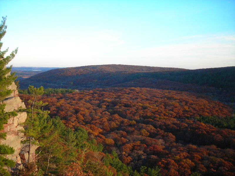 A sea of brown tree tops. This was the view at the end of the day Halloween 2010 from Devil's Doorway lookout. Excellent scene to take in at the finish of a 7 crag leading circuit- East Bluff.