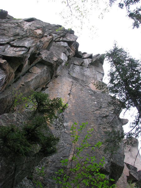 The back side of Talon with the beginning of the Bird's Eye Area to the left. Dave Quinn and I tried a ground up ascent of the cracks in the upper left hand corner, but got turned back on the second pitch by the crumbly flaring rock with no good gear. A top down cleaning and a few bolts should result in a nice line. The 100 ft. arete of Butolicious can be seen peeking through the bottom right of the picture.