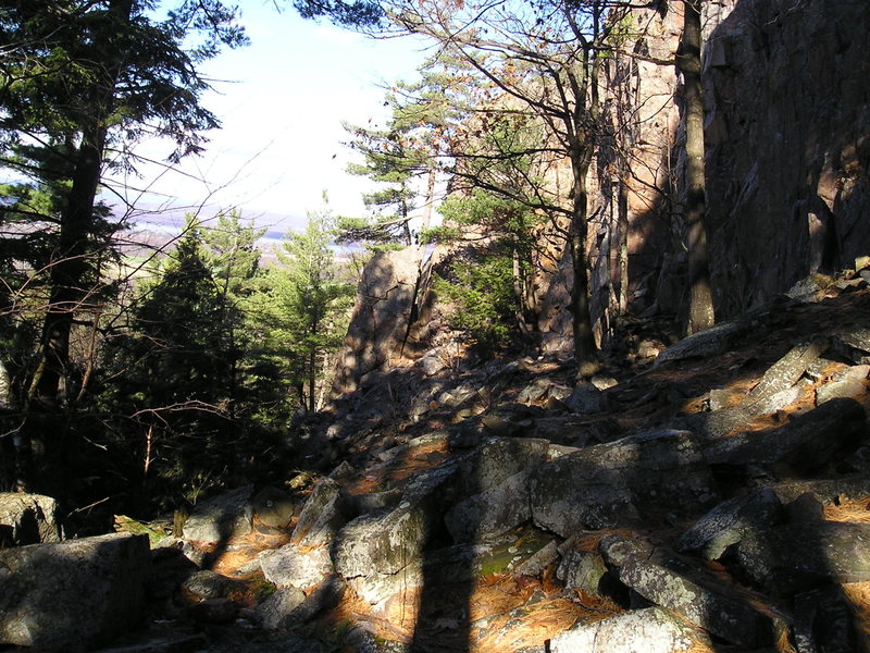 Looking down the cliff past "Main Wall" most routes are past the trees. Free standing rock column which marks the border with "Bobs Wall" is seen at "bottom" of pic