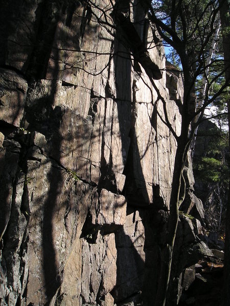 Lots of cracks
