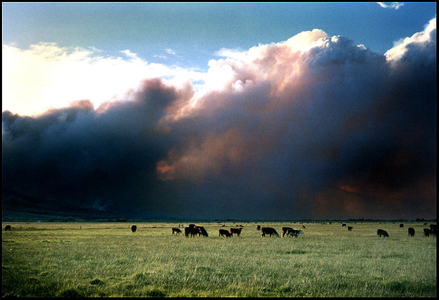 Smoke from the 1996 Kingsbury Grade Fire, blowing across Carson Valley.<br>
Photo by Blitzo.
