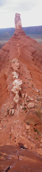 P1 Panoramic